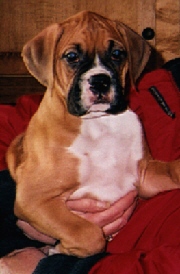 Tallie @ 8 weeks