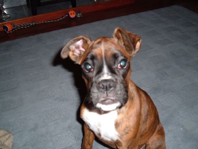 Tally at 14 weeks