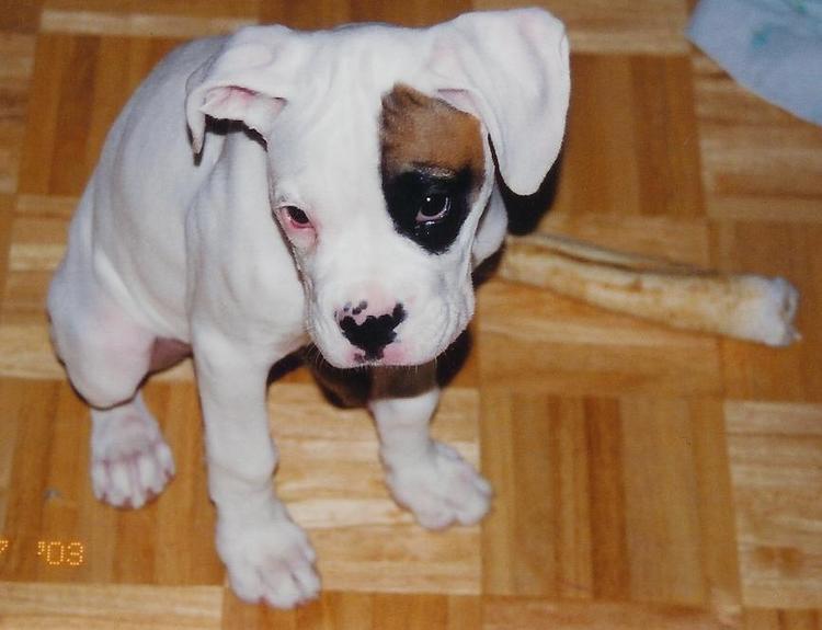 tally at about 3 months old