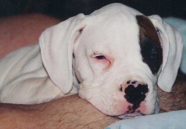 tally at naptime