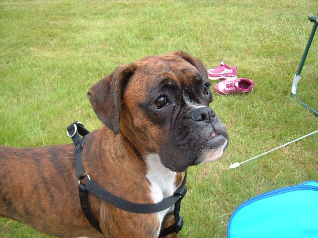tally's first time at camp!