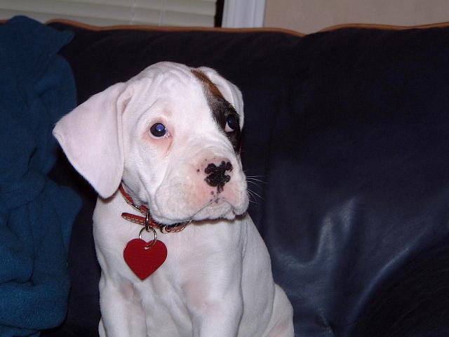 tallywrinkles