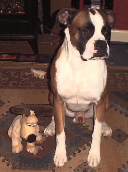 tango_gromit
