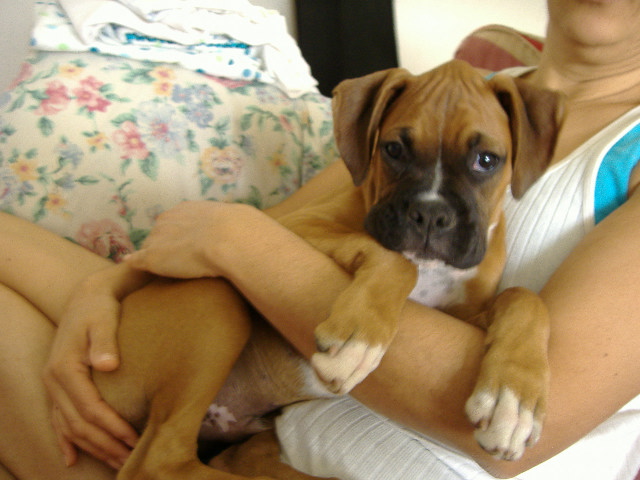 Tank 12 weeks old.