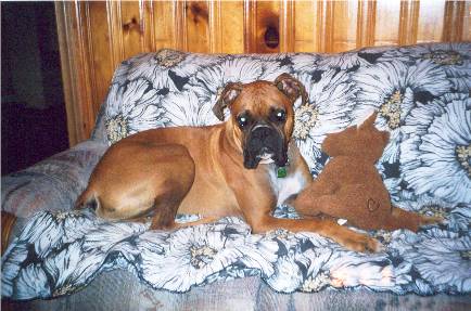 Tank and his best buddie