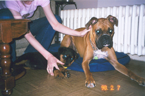 tank and his new baby cousin... lol