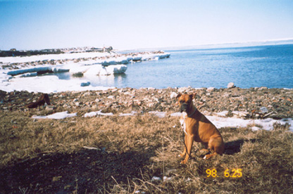 tank and the lighthouse