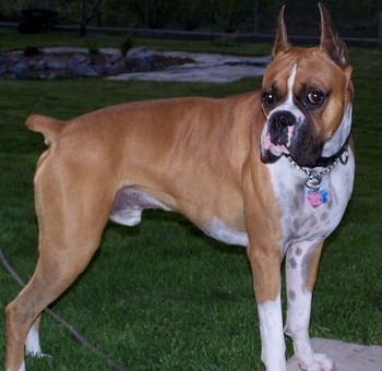 Tank at 2 years