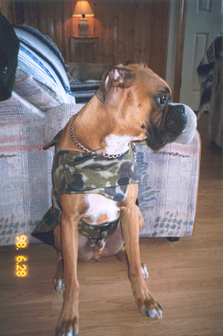 tank in his new camo coat