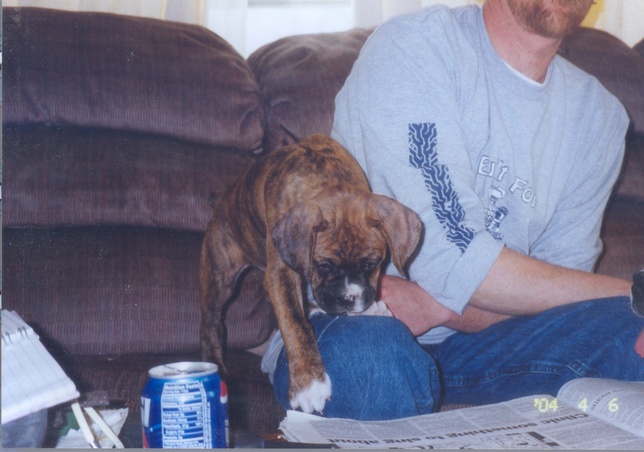 Tank_reading_news_paper