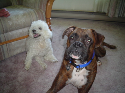 Tanner and Mandy
