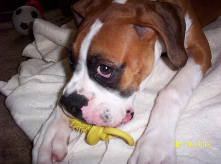 Tanner & his Pacifier