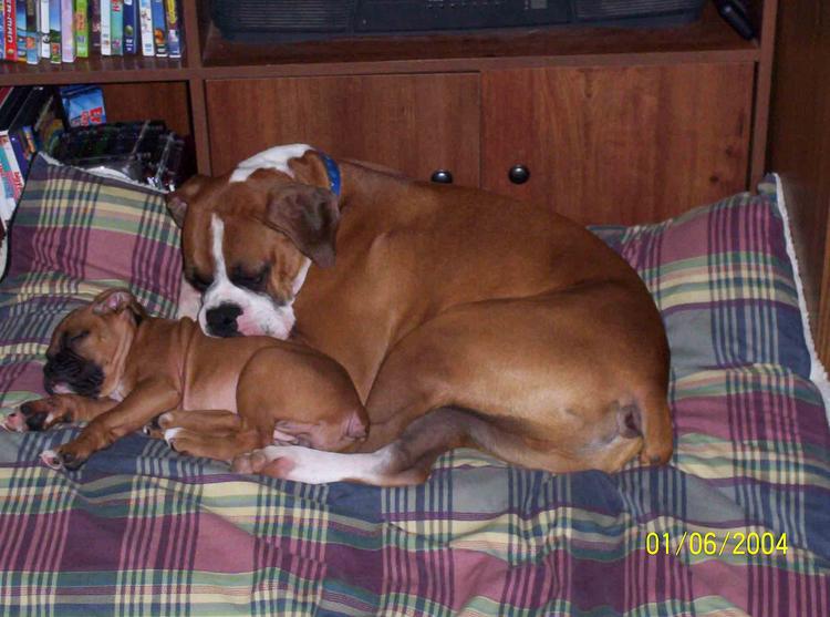 Tanner is such a good big brother!