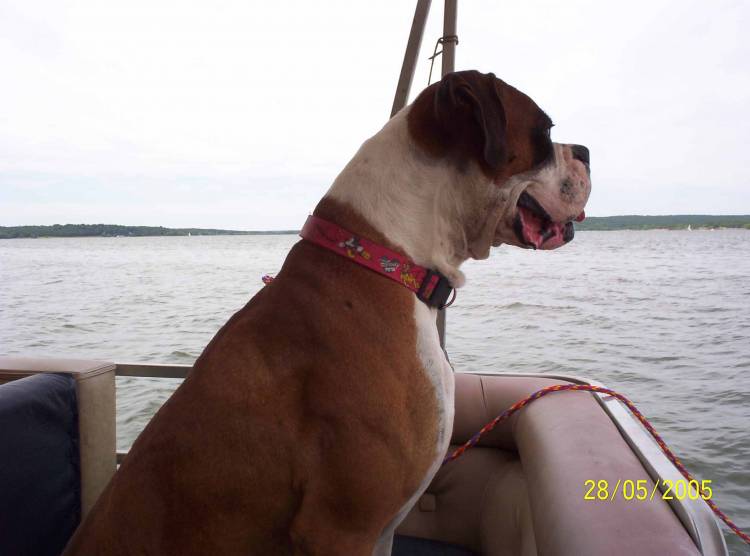 Tanner looking out at the water.
