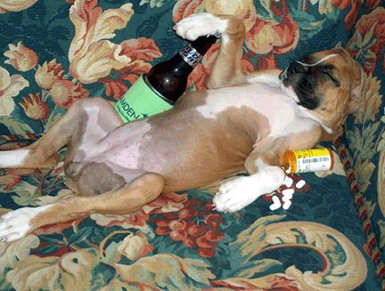 Tara after a hard day