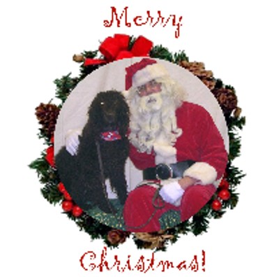 Tara with Santa 2004