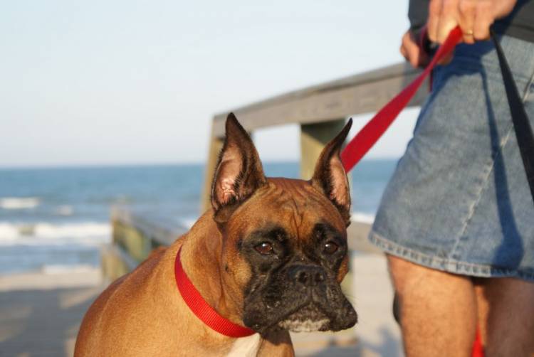 Tasha @ Cocoa Beach