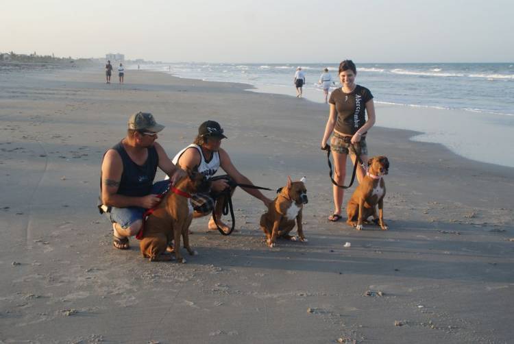 Tasha & Hurley & Bella @ the Beach