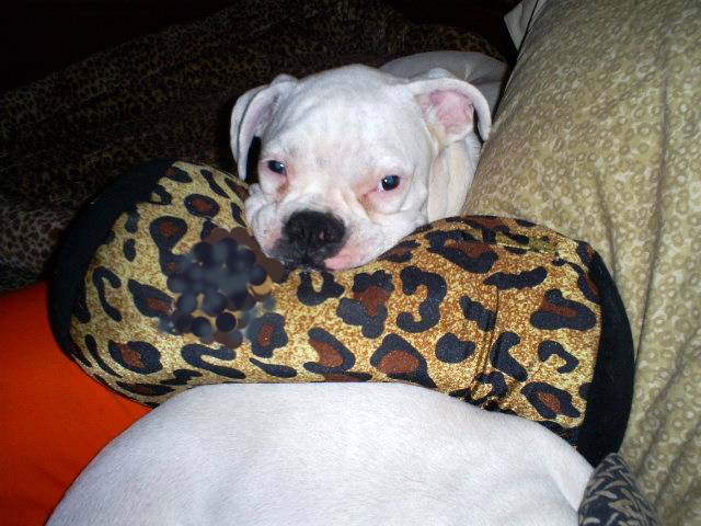 TaTanka sooooo comfy...