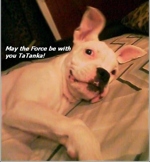 TaTanka_Force_be_with_you