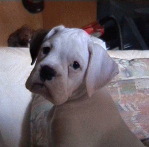 TaTanka's lil' sister
