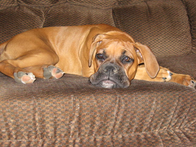 Tater 6 months