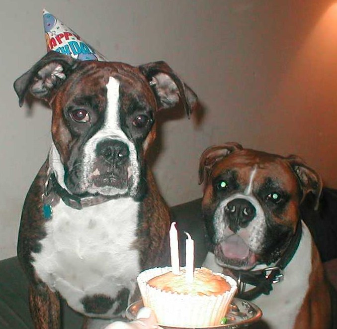 Tati & Buster