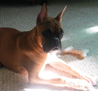 Tatie in the Sun