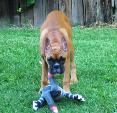 Tatie Stalking Ellie