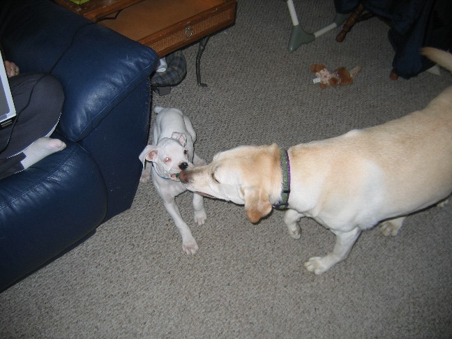 Tatum and Zoey