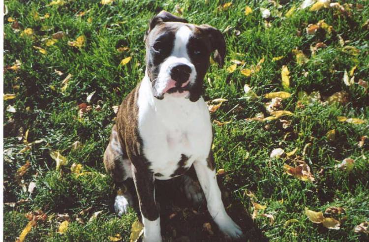 Taya - Fall 2004