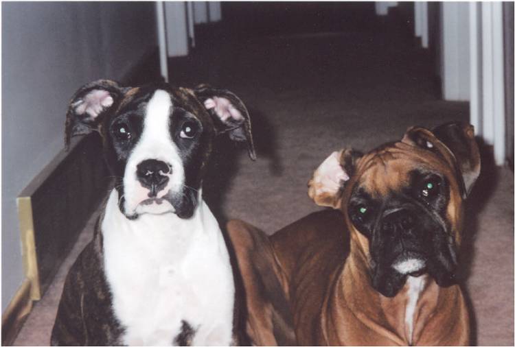 Taya & Mateus