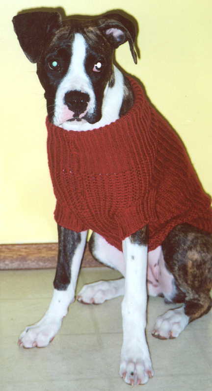 Tayter in her sweater