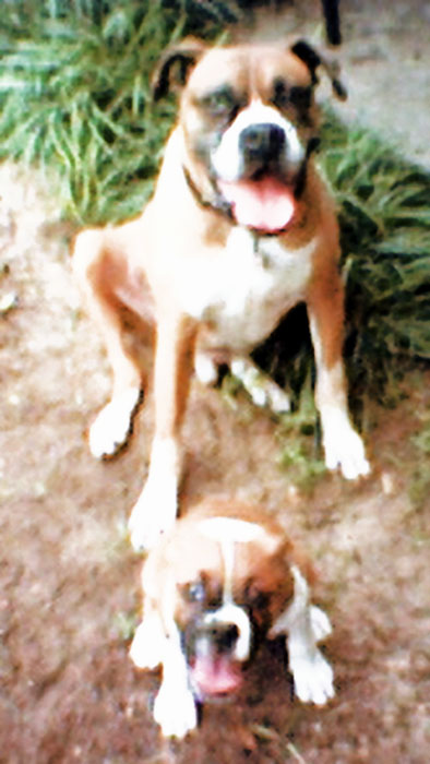 Taz and Laila