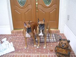 Taz and Tasha