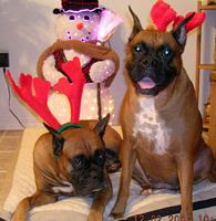 Taz and Tasha