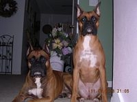 Taz and Tasha