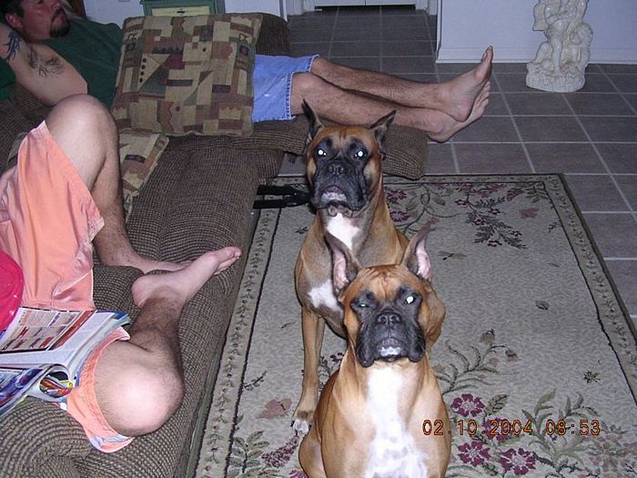 Taz and Tasha