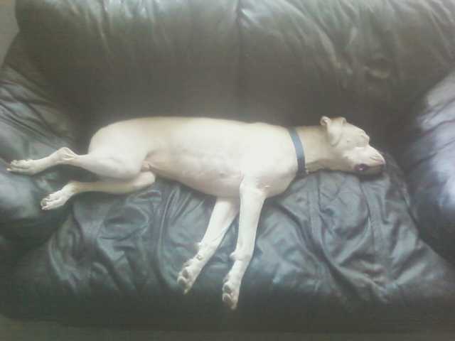 Tazers favorite spot
