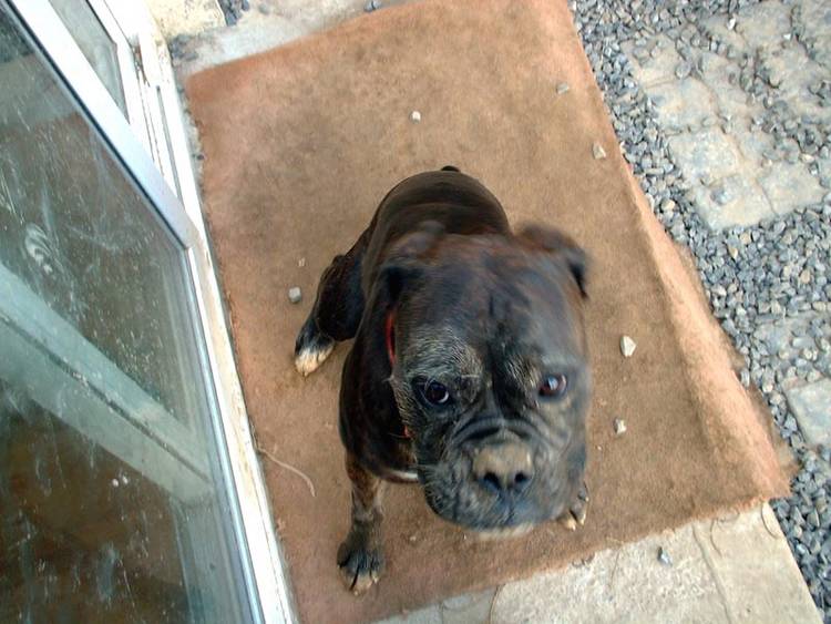 Teagan with mucky face