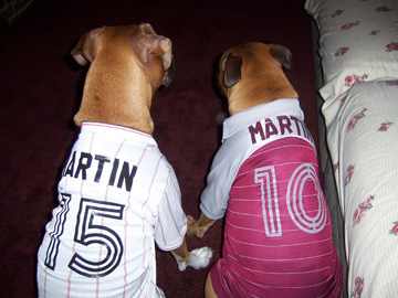 Team Martin