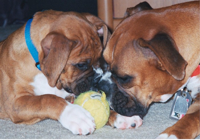 Teamwork
