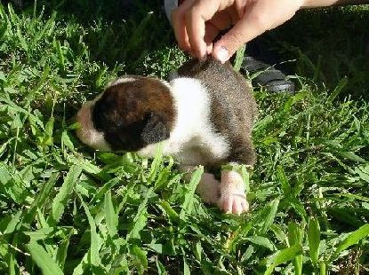 Teeny Baby D