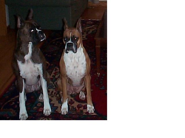 Tegan and Owen