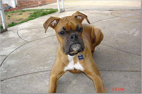 ten months old
