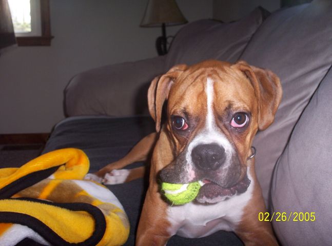 Tennis Anyone?