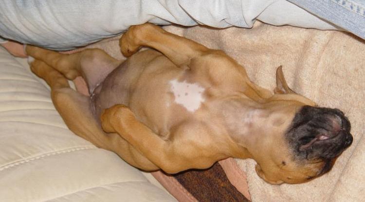 Tequilla Sleeping