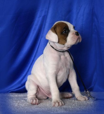 Terramoto at 5 weeks