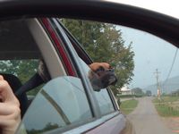 Tes looking out the car window