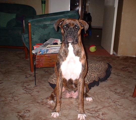 tess 10 months